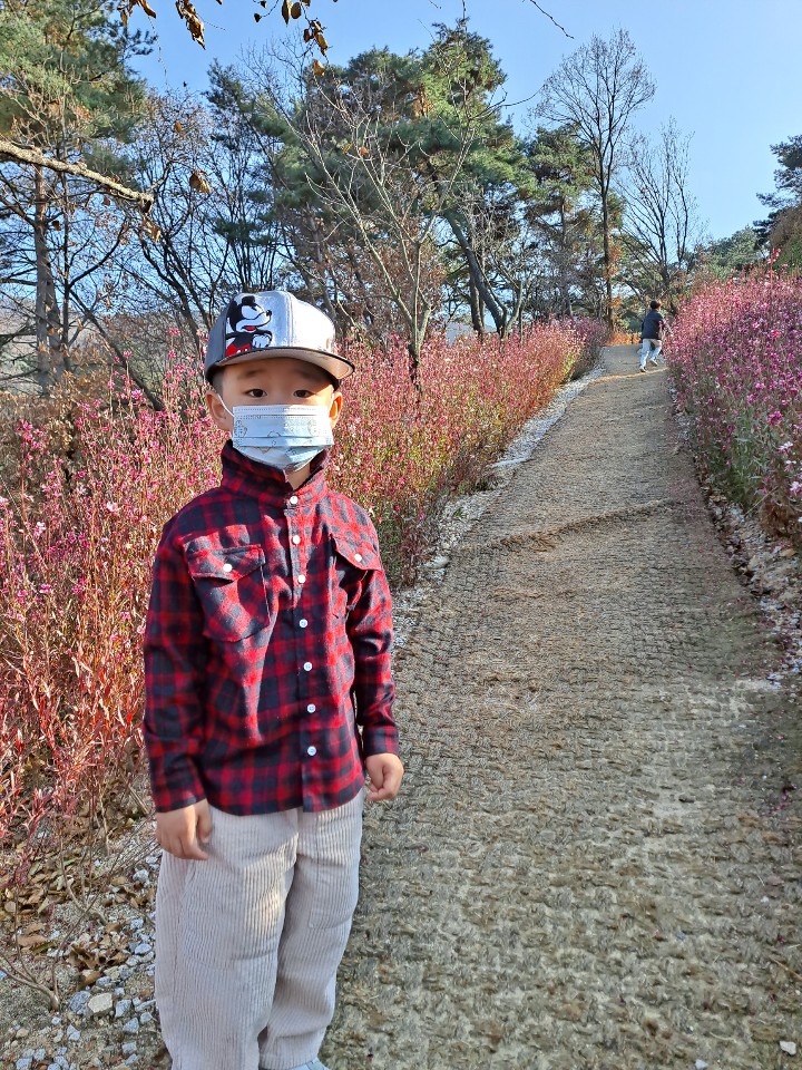  원주근교산책 - 동화마을수목원