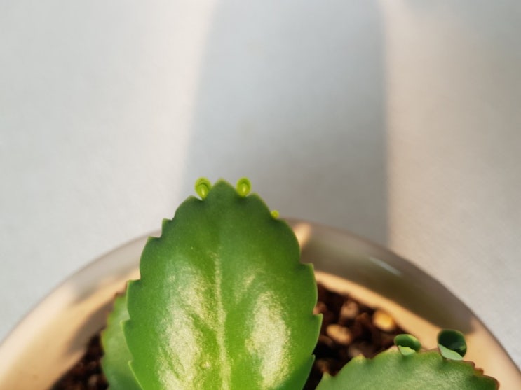  주말아침 여유