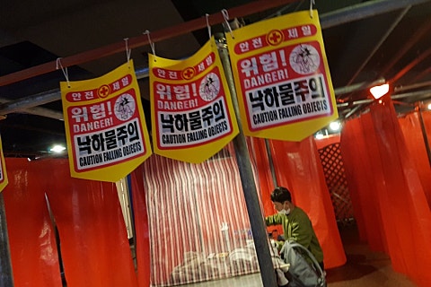 냉큼오이삼 이미지