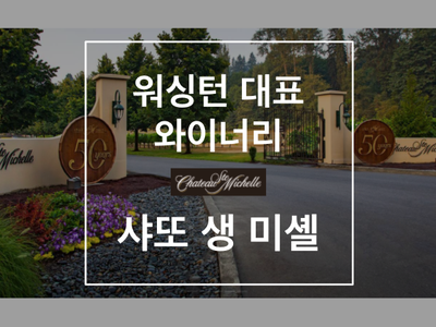  미국 와인 이것만 알아도 평타 <샤또 생 미셸 Chateau Ste. Michelle> 떠오르는 컬럼비아 밸리