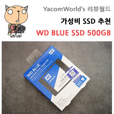 가성비 SSD 추천 WD BLUE SSD 500GB 리뷰