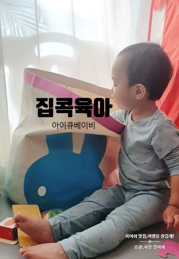  블루래빗 아이큐베이비 20개월 아이 집콕육아 놀이학습!