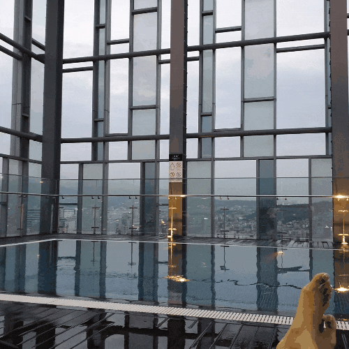  동대문 노보텔 엠버서더에서 수영 즐기기