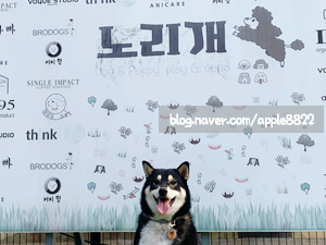  용인 노리개 반려견 운동장
