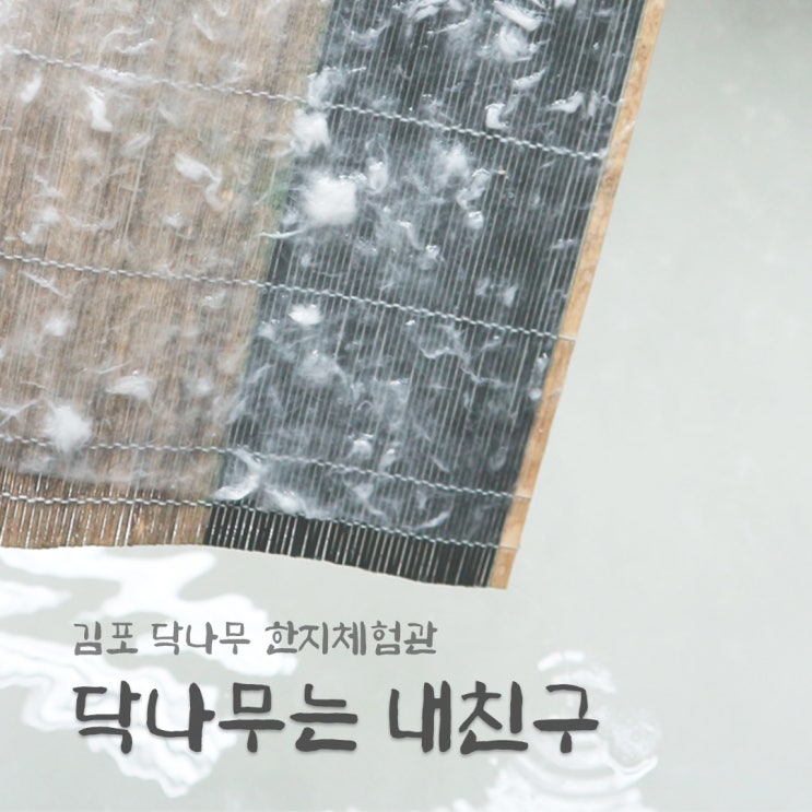 경기도 체험 프로그램 : 김포 한지이야기 '닥나무는 내친구'