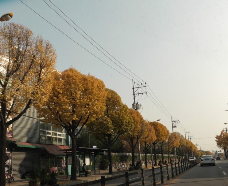  일상 | 주말 드라이브 데이트