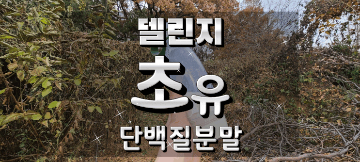  초유 단백질 프로틴 단백 분말 가루 파우더 델린지로 단백질 지키기!