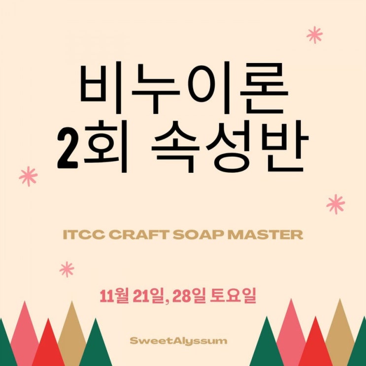  ITCC 비누자격증 11월 이론속성반 잔여석 모집