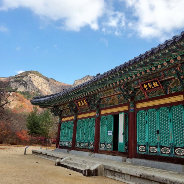  청도 : ) 운문사,청도가볼만한곳