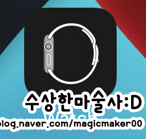  애플워치 꿀팁 ! 애플워치 + 블루링크로 편하게 차량 관리하세요.