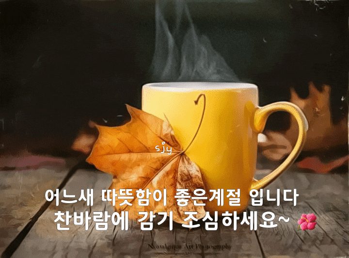  2020년 11월 14일(토) 간단 뉴스들 모음