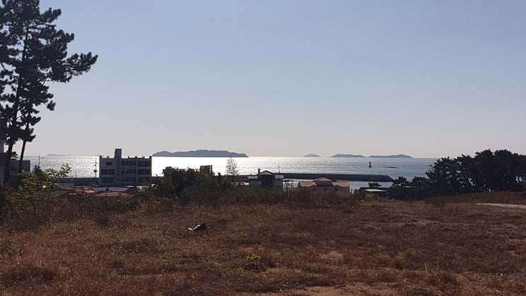 몽산포 솔빛마을 택지분양(충남 태안군 남면 몽산리 1065번지 일원) 몽산포 솔빛마을 택지분양(충남 태안군 남면 몽산리 1065번지 일원)