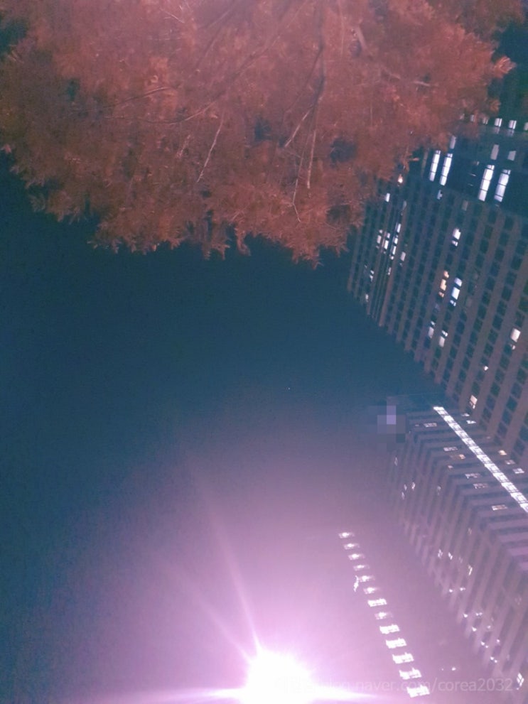  매일 하늘 찍기 2일