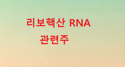 리보핵산 RNA 관련주 정리 리보핵산 RNA 관련주 정리