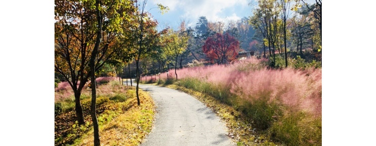  파주 가볼 만한 곳.... 동화 힐링캠프..