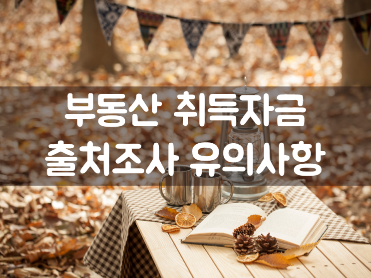  부동산 자금출처 조사 유의사항!