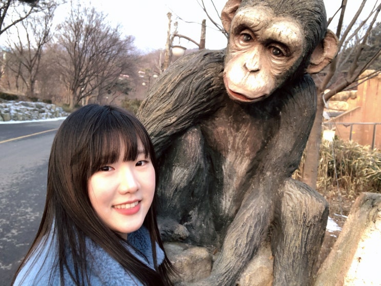 과천 서울대공원, 포근한 11월의 미술관 옆 서울동물원