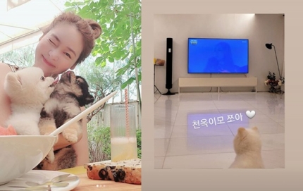 '<b>성유리 반려견</b>'도 이효리 응원 "천옥 이모 좋아"