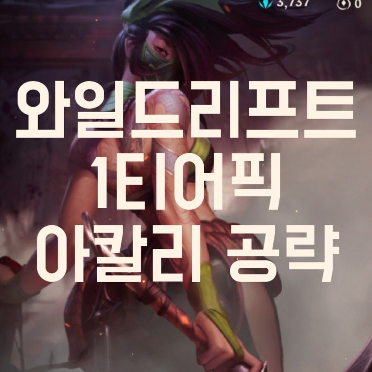 와일드리프트 아칼리 공략(룬,스킬빌드,템트리등) 와일드리프트 아칼리 공략(룬,스킬빌드,템트리등)
