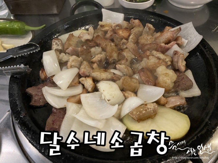  [신사역 곱창 맛집] 가로수길 곱창 맛나는 달수네소곱창