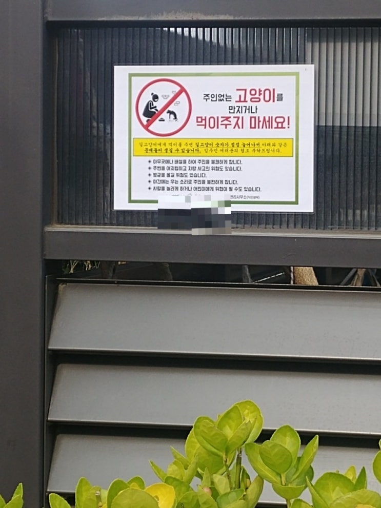  좀 힘빠지는 냥데이(아파트 맘대로 공고문)