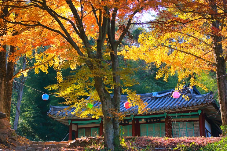  경주 남산 옥룡암 단풍과 보물 제201호 마애불상군