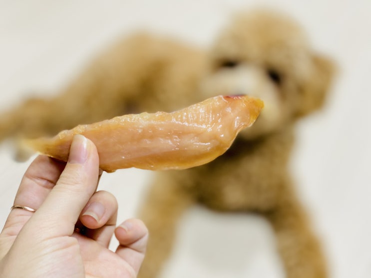  [강아지 간식] 바르다 펫 반려동물 수제 간식 무항생제 치킨 안심 육포 / 오리안심육포