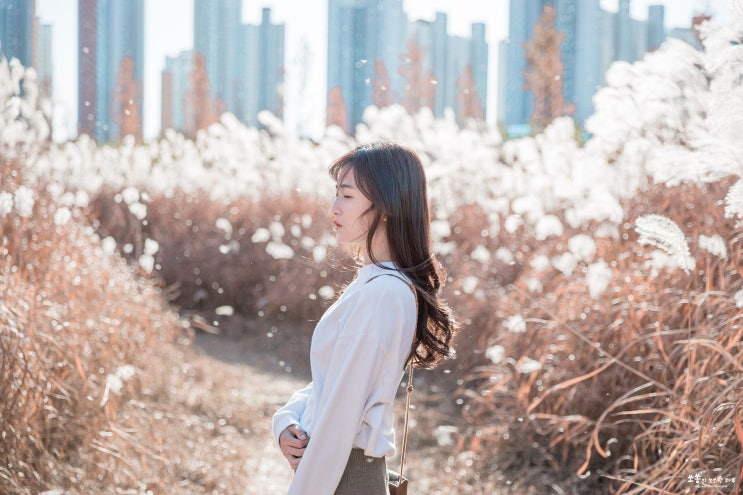  대전 가볼만한곳 이런곳이 있다니? 현충원 단풍 외 베스트3