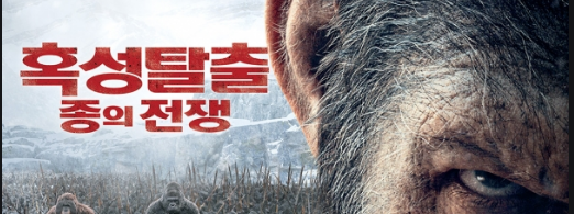  원숭이이게 AK47 을 줬을때 반응..