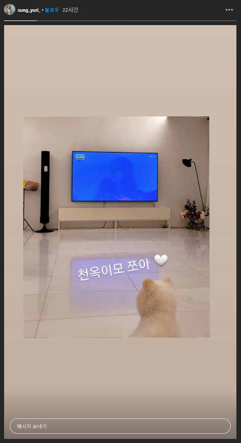 성유리강아지 <b>성유리 반려견</b> 밍밍이와 뚜뚜!