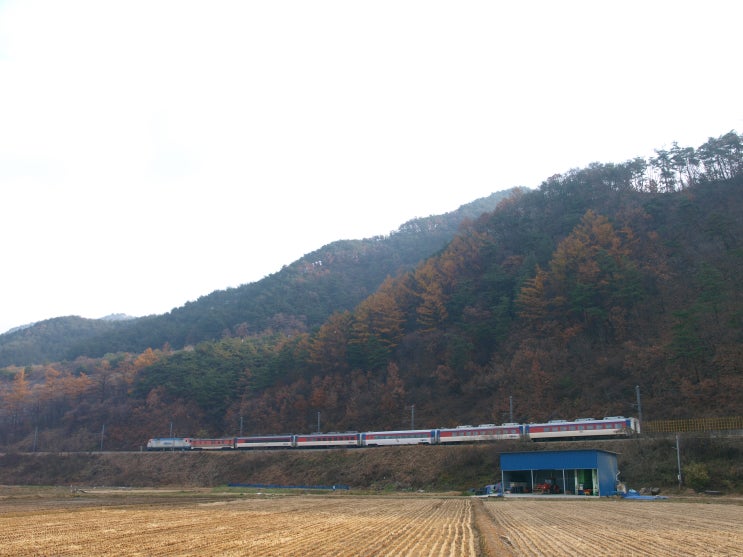  [20201107] 중앙선 이설구간 답사 (2) (치악~봉양)
