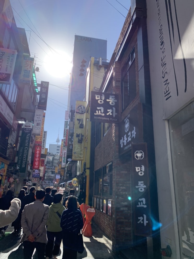  서울 칼국수 맛집 명동 교자