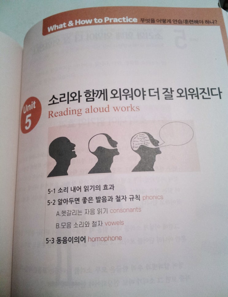  영어어휘력이 상승하는 암기법 박상효의 영단어 콘서트