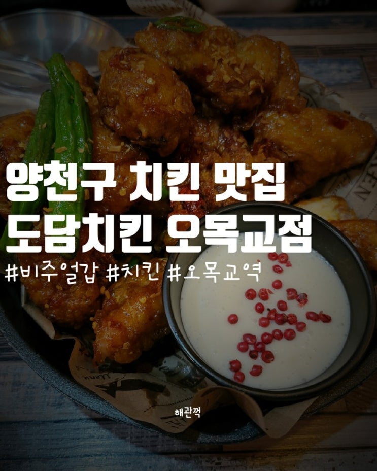  오목교 치킨 맛집 도담 치킨 오목교점