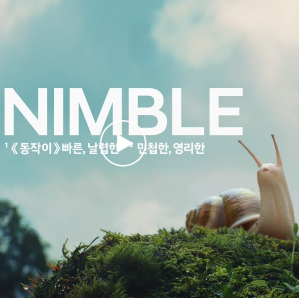  2021 현대 코나 님블 가격표 주의할점 및 색상 총정리