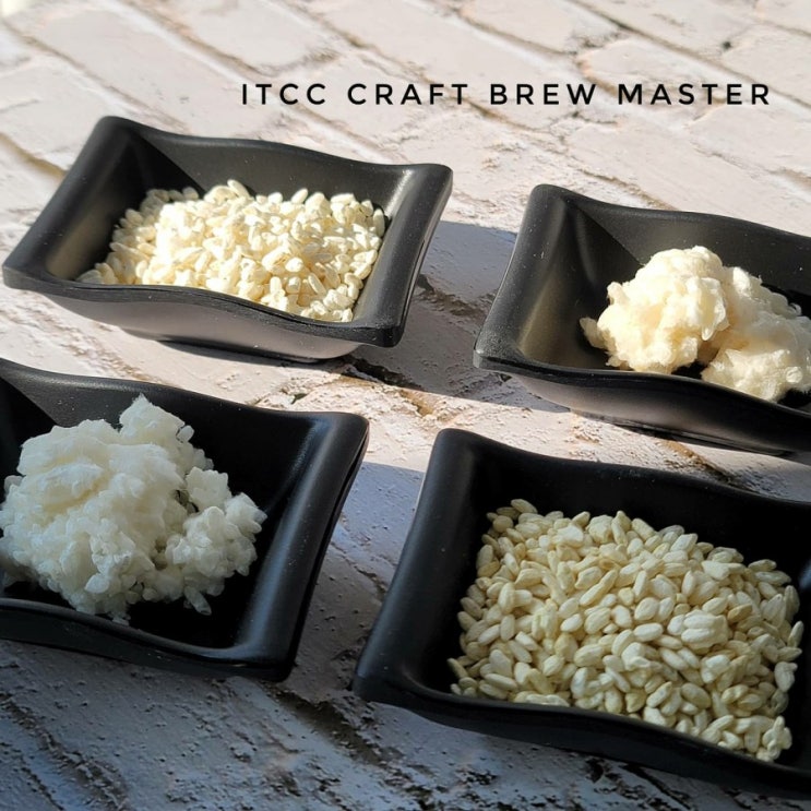  입국 쌀누룩 슬기로운 발효자격증 ITCC 크래프트 브루 마스터