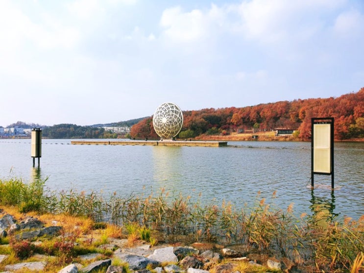  통탄호수공원 루나쇼 봤을까요 (주차정보)