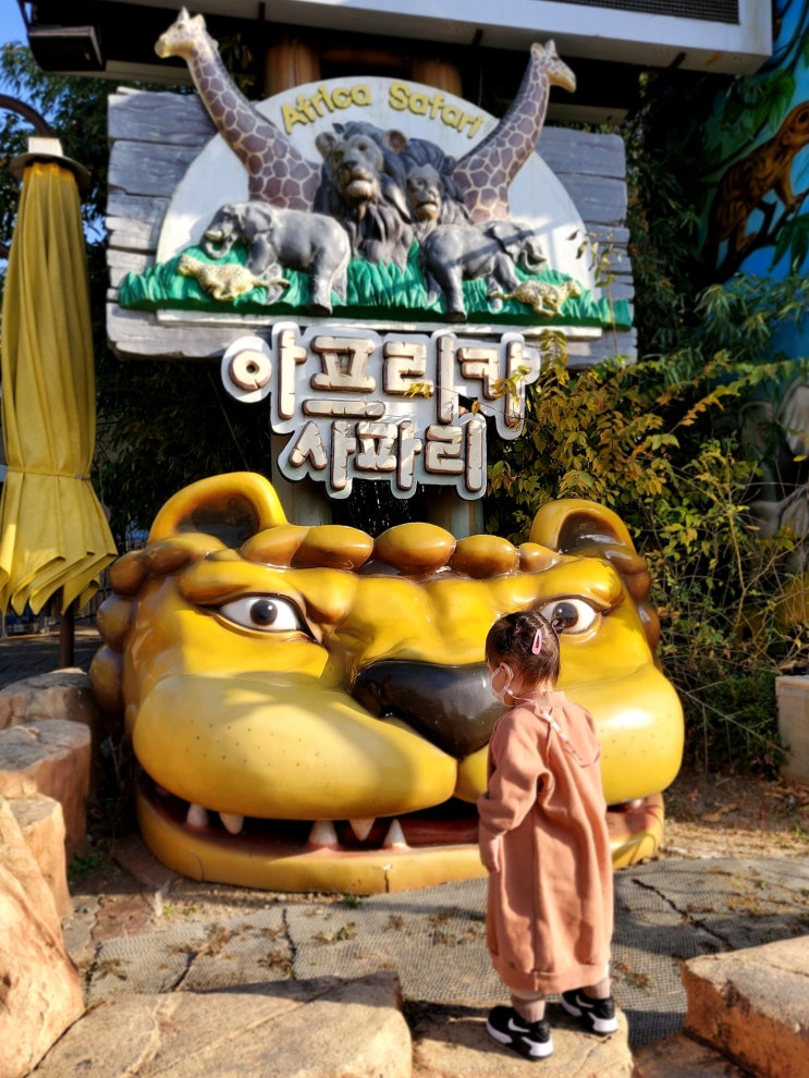  대전 : ) 대전오월드,대전동물원,사파리,대전가볼만한곳