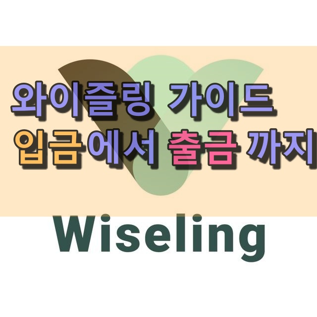  와이즐링 사용설명서