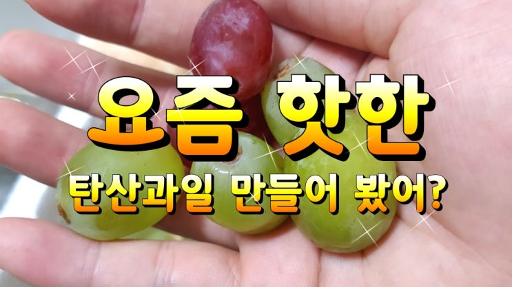 요즘핫한 탄산과일 만드는법 (청포도, 적포도)