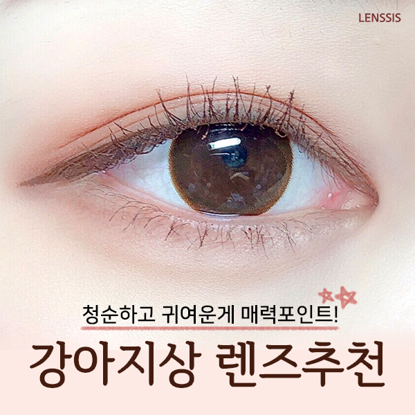  렌시스: 청순하고 귀연게 매력인 강이지상 렌즈추천