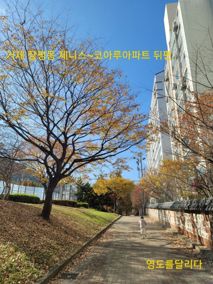  우리 동네 자랑