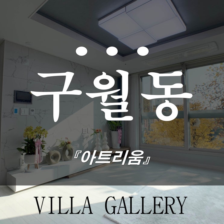 인천 구월동 신축빌라 아트리움 테라스 세대 분양중