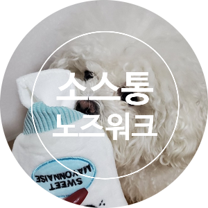  [리뷰]소스통 노즈워크/강아지 노즈워크