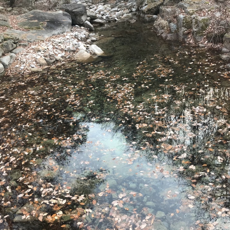  충주 월악산국립공원 만수계곡 맑은 물
