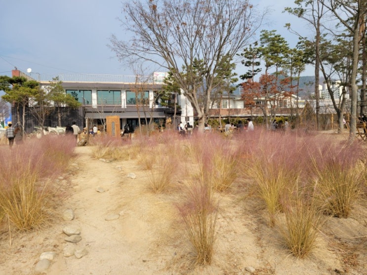  감자밭 카페/요즘 그렇게 핫하다며?/마스크쓰고 잘 다녀옴.