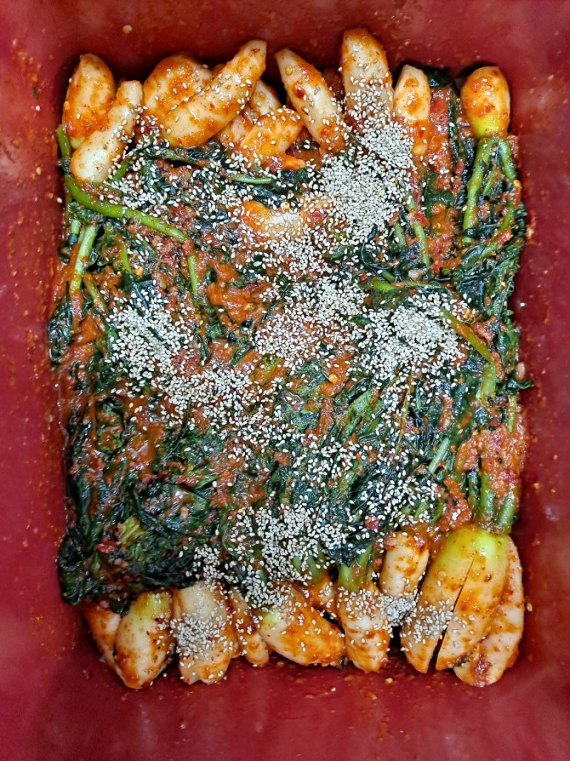 달랑 무우 김치