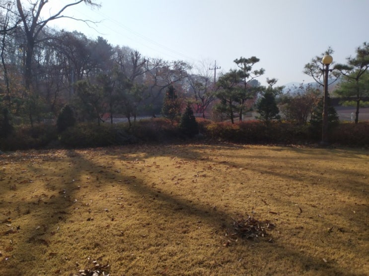  낙엽 치우기, 보도블럭 깔기