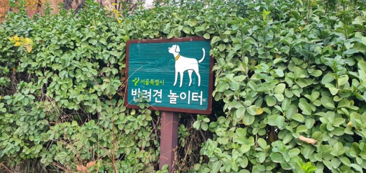 어린이대공원 반려견 놀이터 강아지랑 놀기 좋은곳!