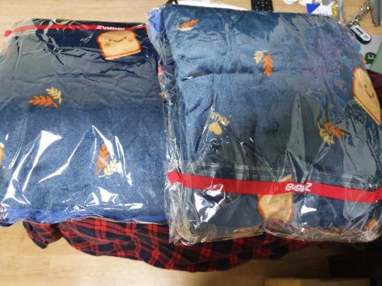  대구는 따뜻했다 내가 대전에서 추운이유
